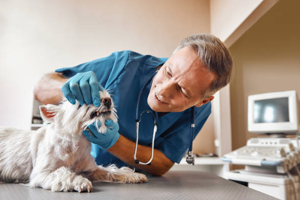 Best Emergency Root Canal Treatment in Taylor, PA